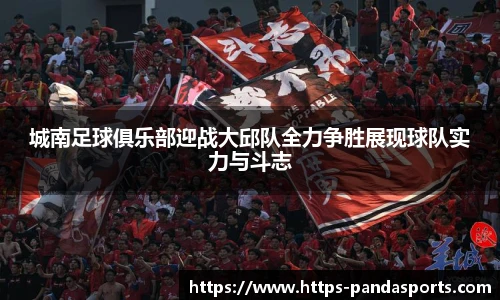 城南足球俱乐部迎战大邱队全力争胜展现球队实力与斗志